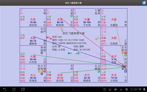 天官紫微|紫微斗数之天官星详解，天官星入十二宫解析